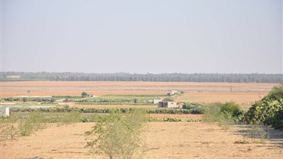 تخصيص 16250 مترا مربعا لإقامة سجن مركزى بدمياط