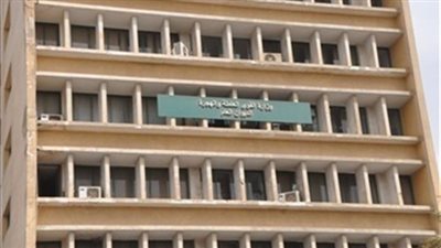 الجريدة الرسمية تنشر اللائحة المالية لرعاية عمال المقاولات والزراعة