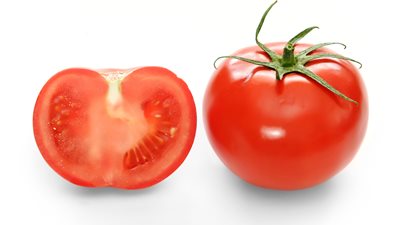 انخفاض سعر الطماطم بالشرقية بنسبة 28%