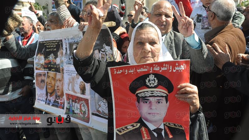 فيتو