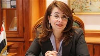 والي: 213 مليون جنيه قروض دوارة من المؤسسة القومية لتنفيذ مشروعات متناهية الصغر