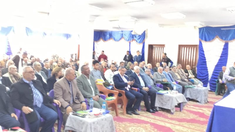 فيتو