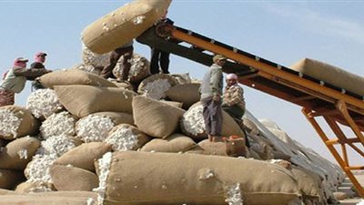 %1.45 زيادة في صادرات القطن خلال الربع الأول من «2018-2019»