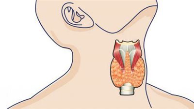 «الصحة» تقدم خدمة الكشف عن مرض قصور الغدة الدرقية لحديثي الولادة بالمجان.. الفحص المبكر يقي الطفل من الإعاقة.. توفير الخدمة بالمعامل المركزية ومراكز طب الأسرة.. والفحص بأخذ عينة دم من قدم ال