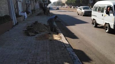 رفع كفاءة الخدمات بمحيط إستاد الإسكندرية لاستضافة أمم أفريقيا (صور)