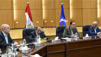 تفاصيل لقاء رئيس الوزراء ونواب السويس