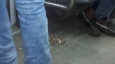 مواطن يلقي «قشر اللب» داخل المترو.. والركاب: «مفيش دم»