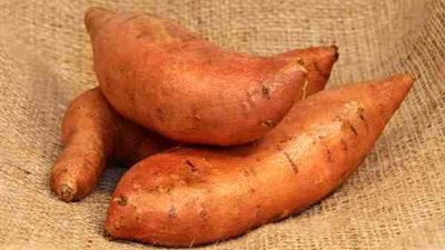 البطاطا.. لمرضى السكر والقلب ولمكافحة الشيخوخة