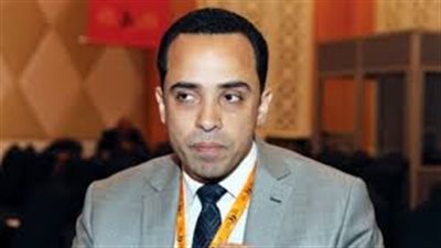 المغازي: غياب آلية ترشح المصريين بالخارج في 