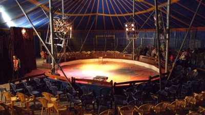 إنشاء مركز طبى داخل السيرك القومى