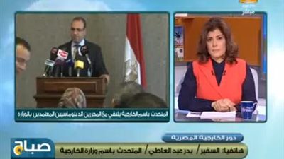 بالفيديو..الخارجية: مصر تتبع سياسة 