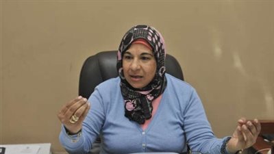 الضرائب: ميكنة كافة سجلات العقارات لإخضاعها للضريبة