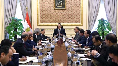 ٢,٢ مليار دولار حجم صادرات ٨٥ سلعة زراعية خلال ٢٠١٨