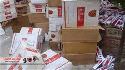حرس الحدود تضبط 9500 علبة سجائر مهربة بالوادي الجديد