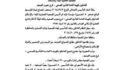 ملخص تأسيس جمعية العاملين بالهيئة العامة للتأمين الصحي بجنوب الصعيد
