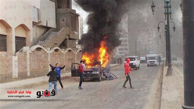 بالصور.. عناصر 