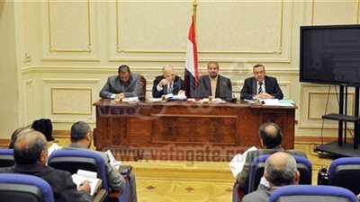 الشئون الأفريقية بالشورى تطالب بإنشاء شركة قابضة للتنمية في أفريقيا