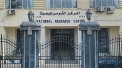 «القومي للبحوث»: «المورينجا» يعالج 10 أمراض في الإنسان