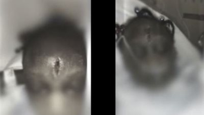 معلمة تحمل طفلة وترميها في الأرض (فيديو)