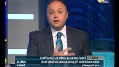 هريدي: لا يمكن التنبؤ بالعمليات الإرهابية إلا في حالة اختراق التنظيمات