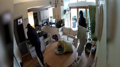 رد فعل غير متوقع لكلب هاجم لصوص منزل صاحبه (فيديو وصور)