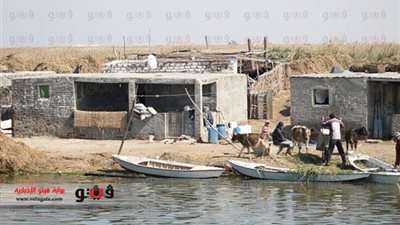 تظاهرة لأصحاب المزارع السمكية ضد تلوث بحيرة المنزلة.. الأربعاء