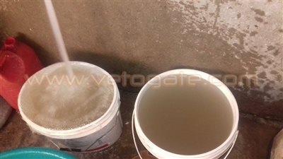 بالفيديو.. مياه الشرب تختلط بـ«الصرف الصحي» في الشرقية