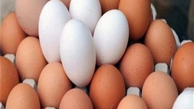 تراجع أسعار كرتونة البيض 4 جنيهات واستقرار الدواجن