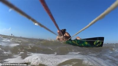 «كلب» يهاجم راكب أمواج في مشهد مروع (فيديو وصور)