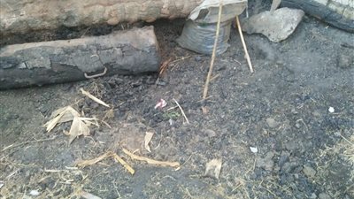 حرائق مجهولة بقرية «العزيزية» في الشرقية.. والأهالي تستغيث (فيديو وصور)