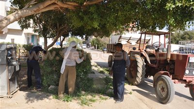 بالصور.. مركز الخارجة يستكمل حملة نظافة للأحياء السكنية