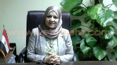 «البيئة» تنفي تسرب بقعة زيت في نهر النيل بمنطقة شيراتون