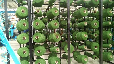 «كابتكس».. أكبر قلعة لصناعة نجيل الملاعب في الشرق الأوسط (فيديو وصور)