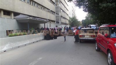 بالصور.. عمال التشجير أمام 