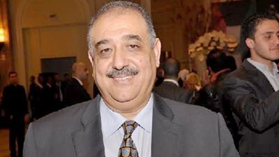 بالفيديو.. زين السادات: نسعى لتحقيق أهداف سياسية واقتصادية واجتماعية