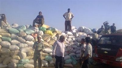 توريد 196 ألفا و30 طنا من القمح بالغربية