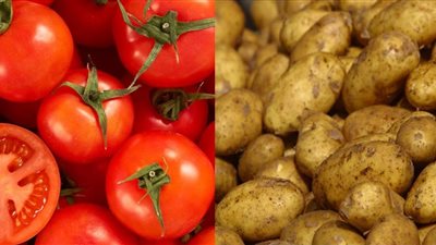 تراجع أسعار الطماطم.. وارتفاع البطاطس (فيديو)