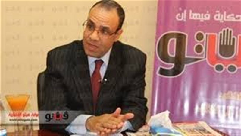 السفير بدر عبدالعاطى،