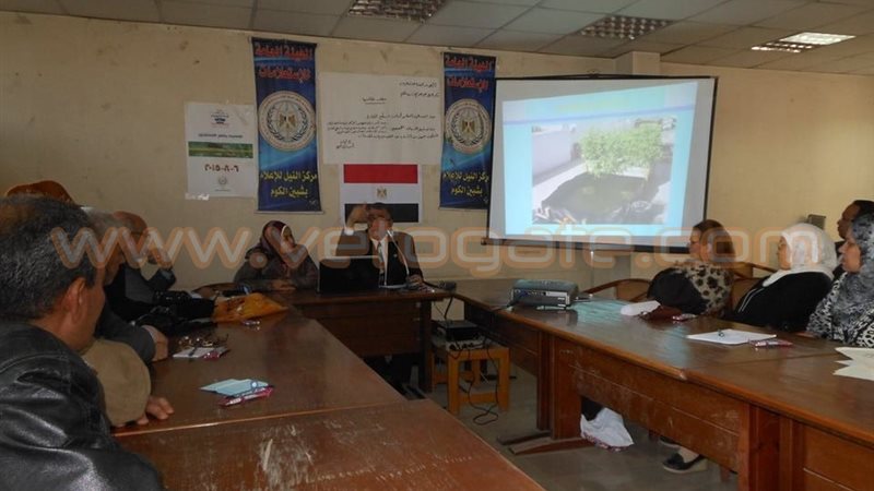 فيتو