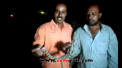 بالفيديو.. تمساح بترعة في البحيرة يثير رعب الأهالي