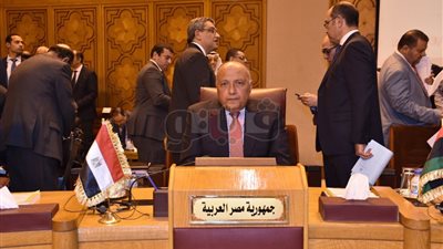 شكري يطالب بمواجهة الدول الشقيقة الحاضنة للجماعات الإرهابية