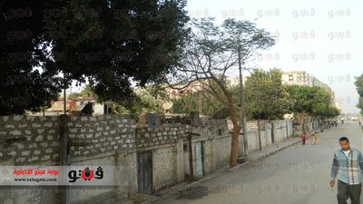 بالفيديو.. «فيتو» ترصد معاناة سكان «ترعة الإبراهيمية» بأسيوط