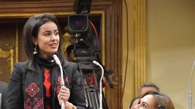 النائبة ماريان عازر: هذا سبب اختياري لعضوية «الاستشاري الدولي» لشركة «فيس بوك» العالمية