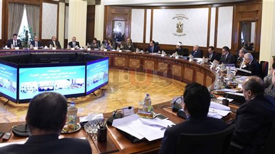 تفاصيل الاجتماع الأسبوعي للحكومة.. التموين: ٦٨٥جنيه سعر أردب القمح.. مدبولي يشكر هشام عرفات: قدم جهدا كبيرا رغم التحديات.. ويكلف بوضع إجراءات تنفيذية رادعة ضد متعاطي المخدرات في الوزارات