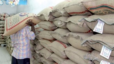 ننشر أسعار الأعلاف بالبحيرة.. اليوم