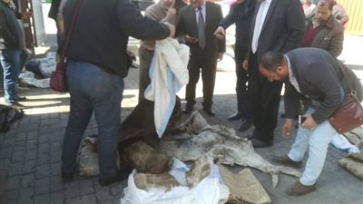 جمارك الدخيلة تحبط محاولة تهريب 3 آلاف قطعة جلد حمير للصين