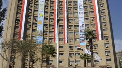 «الرياضة» تحدد شرط شهر الهيئات الشبابية بالمراكز والهيئات