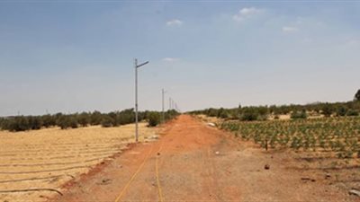 استرداد الأراضى تدرس مصير الزراعات الموسمية بحضور 6 محافظين