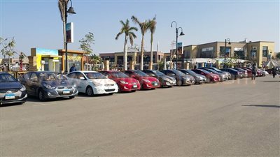 بالصور.. أكبر تجمع لأصحاب سيارات «هيونداي» في مصر