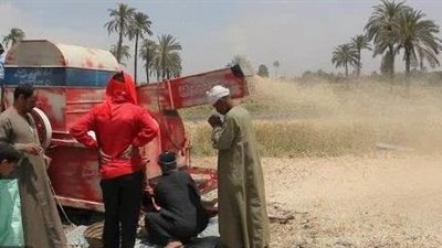 توريد 78 ألفا و760 طن قمح بقنا